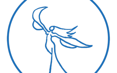 Fairy Bluetrans